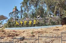 Half day Addis Ababa Excursions- complete experience guaranteed 