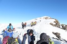 8 Days climb Mt Kilimanjaro through Lemosho Route