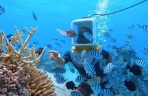 Private Tour: Aqua Safari Scuba Diving