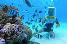 Aqua Safari Introductory Helmet Dive (Underwater Walk)