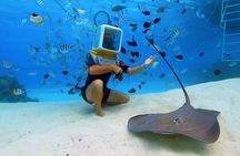 Private Tour: Aqua Safari Scuba Diving