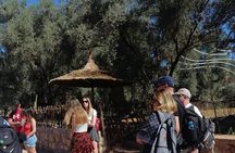 Tour to the Ouzoud Waterfalls from Marrakech