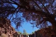 Tour to the Ouzoud Waterfalls from Marrakech