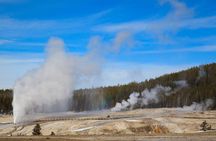 Best of Yellowstone Nat'l Park Tour from Paradise Valley