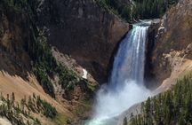 Best of Yellowstone National Park from Gardiner - Private Tour