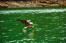 Alaskan Lodge Adventure and Seafeast