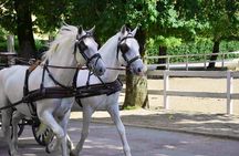 Lipica Stud Farm & Skocjan Caves - Small Group Tour from Koper
