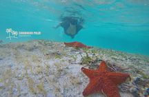 Private Tour in luxury BOAT over the sea of ​​7 colors