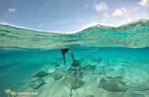 Private Tour in luxury BOAT over the sea of ​​7 colors