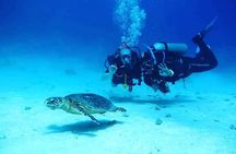 Underwater Discovery for Beginners – Full Day Diving with Lunch