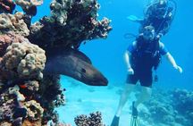 Underwater Discovery for Beginners – Full Day Diving with Lunch
