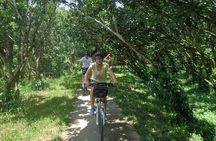 Mekong delta cycling tour 3 days