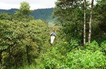 Full-Day Private Tour of Mindo Cloud Forest