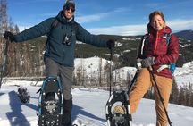 Yellowstone Snowshoe Safari from Bozeman - Private Tour