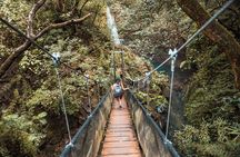 Guachipelín Adventure Combo Incl. Lunch & Hot Springs