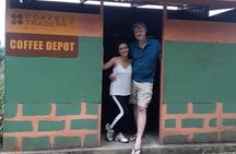 Blue Mountain Tour with Hotel Transportation