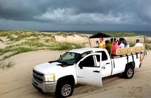 2-hour Outer Banks Wild Horse Tour by 4WD Truck