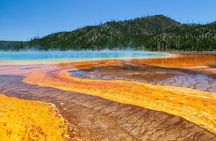 Best of Yellowstone Guided Tour from Bozeman - Private Tour