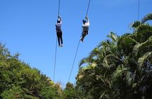 Rainforest Zipline in Foothills of the National Rainforest