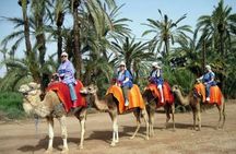 2-Hour Quad Bike & Camel Ride in Marrakech Palmeraie