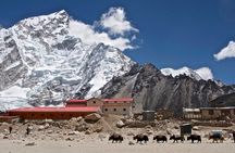 12 Days Everest Base Camp Trek 
