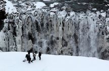 8-Days Northern Lights Exploration Tour from Reykjavík