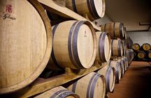 Organic Wine Tour&Tasting overlooking Chianti Classico Vineyards