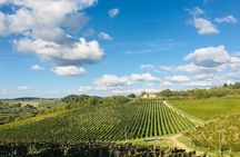 Organic Wine Tour&Tasting overlooking Chianti Classico Vineyards