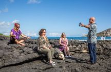 Private Grand Circle Island Tour of Oahu