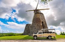 Half-Day Tour: Island Safari Adventure from St. John's