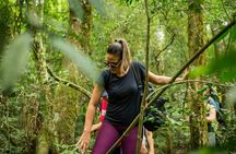 Full Day Hike through Secret Waterfalls in Foz do Iguaçu