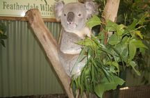  PRIVATE Blue Mountains Tour, Wildlife Park and River Cruise
