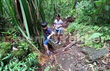 Mt Rinjani Trekking 2 Days 1 Night (Senaru Crater Rim)