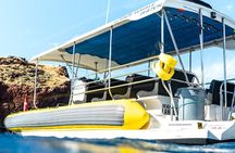 2.5 Hour Whale Escape Tour