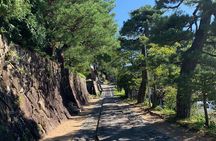 Zen Meditation and Higashiyama Temples Walking Tour