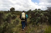 Kilimanjaro National Park Day Trip