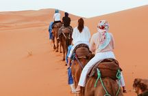 Sahara Desert Family Tour