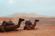 Sahara Desert Family Tour