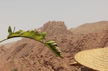 Sahara Desert Family Tour
