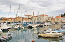 Piran & Panoramic Slovenian Coast - Small Group Tour from Koper