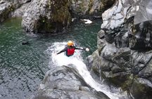 El Yunque Rainforest Tour: Natural Waterslides Adventure 