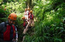 El Yunque Waterslides Tour Small Group with Optional Beach Stop