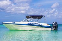 Private Boat Cruise with Snorkeling