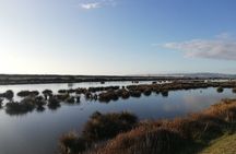 Coast to Vineyards Self-Guided Scenic Cycle Tour from Napier