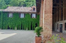 Unique wine tasting at Winery Marchesi Incisa della Rocchetta
