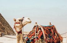Tour of the Pyramids