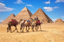Allinclusive Private tour Giza Pyramids Sphinx Sakkara& Memphis 