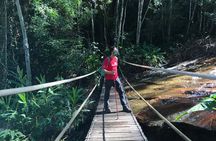 Adventure & History at Tijuca Forest (small group or private)