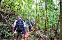 Adventure & History at Tijuca Forest (small group or private)