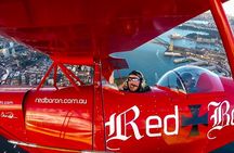 Sydney Harbour Joy Flight in the Pitts Special 